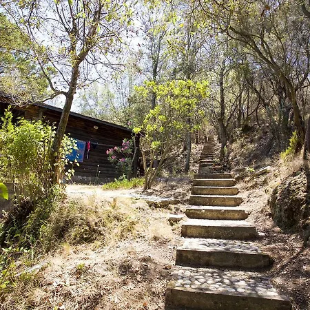 Casette Nel Parco 別荘 ポルトフェッラーイオ