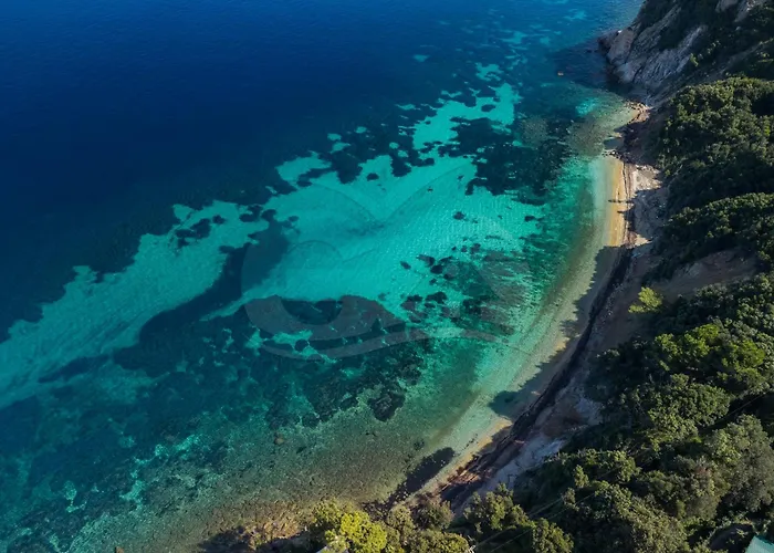 Tatil Evi Casette Nel Parco