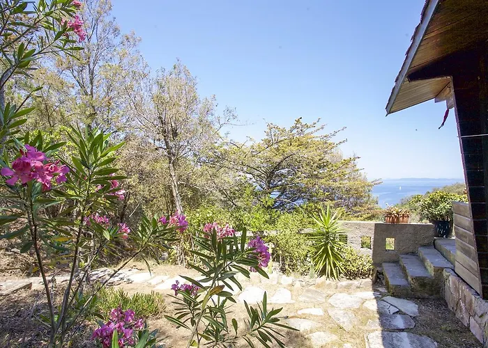 Tatil Evi Casette Nel Parco *